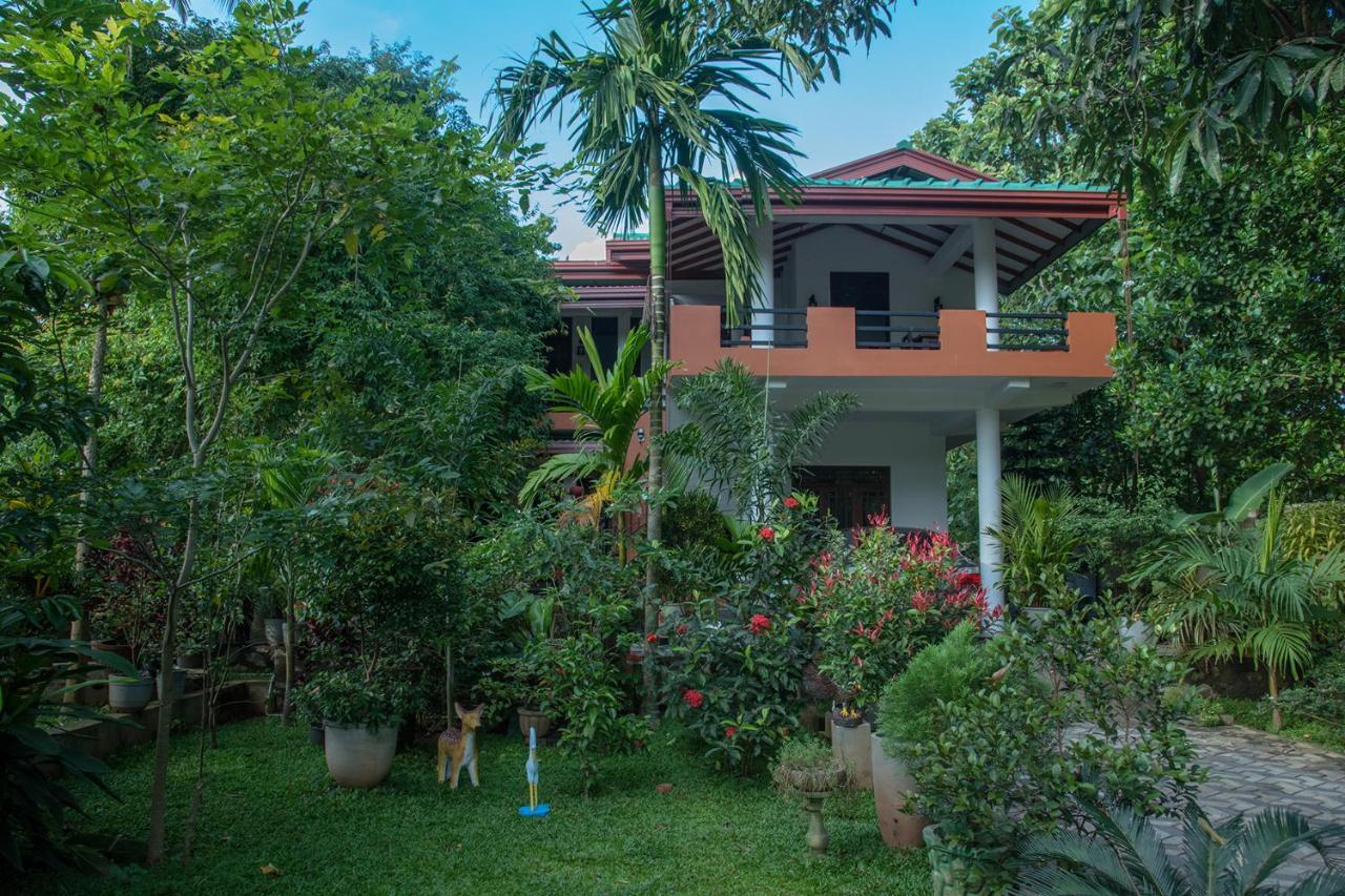 Sadee'S Place Dambulla Ngoại thất bức ảnh